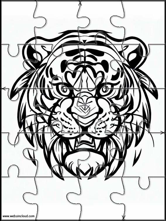 Tigrar - Djur 5