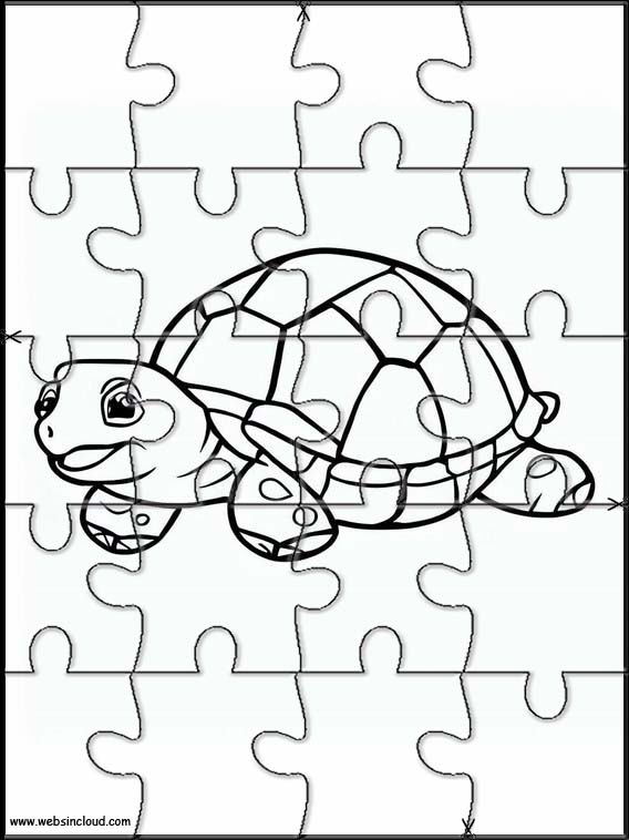 Tortues - Animaux 1