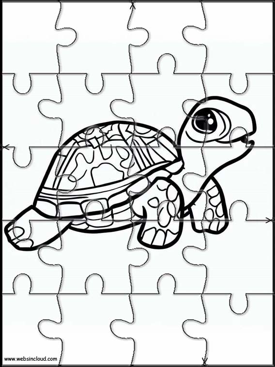 Sköldpaddor - Djur 2