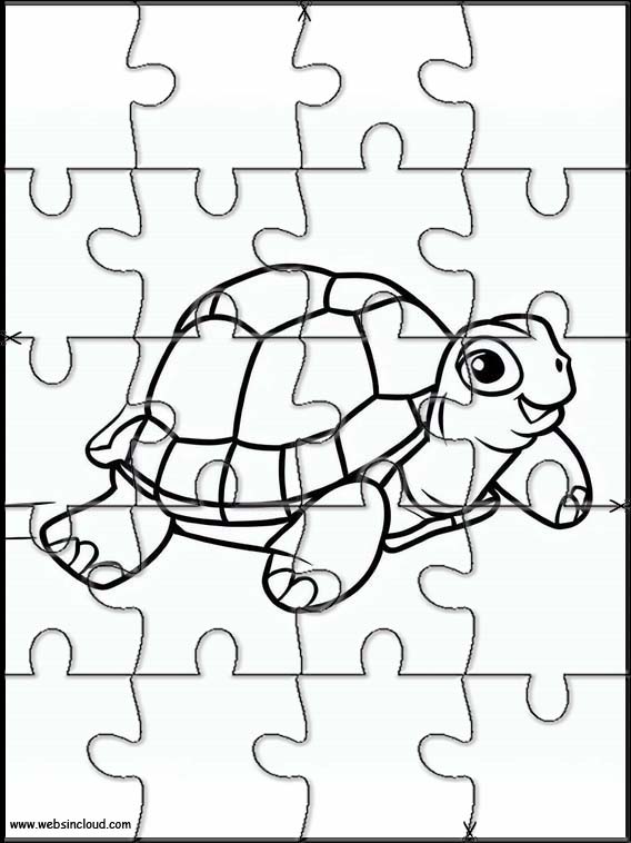 Tortues - Animaux 3