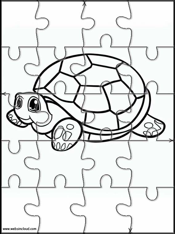 Tortues - Animaux 4