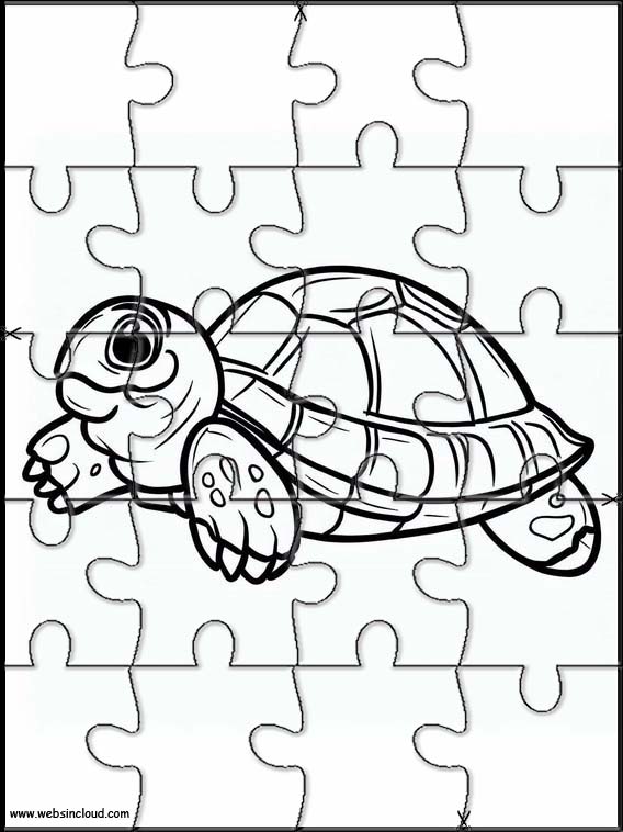 Tortues - Animaux 5