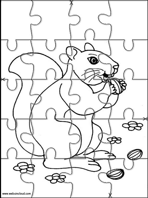 동물 36