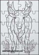 Elks - Animals 3