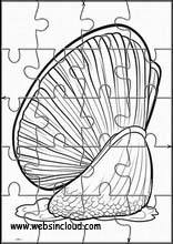 Muscheln - Tiere 3