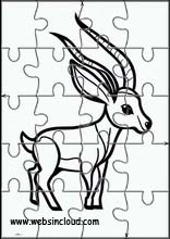 Antelopes - Animals 1