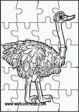 Ostriches - Animals 3