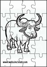 Buffaloes - Animals 2