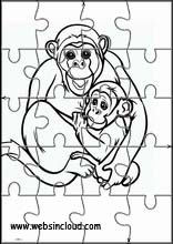 Chimpanzés - Animais 1