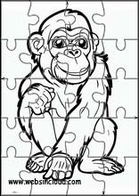 Schimpansen - Tiere 2