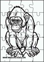 Chimpanzés - Animaux 3
