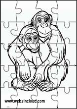 Chimpansees - Dieren 4