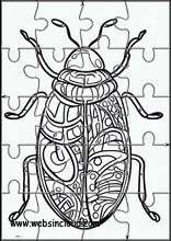 Bedbugs - Animals 1