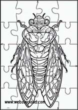Cicaden - Dieren 1