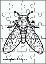 Cicadas - Animals 3