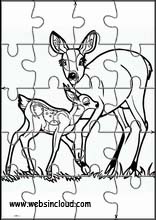 Roe Deer - Animals 2