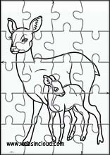 Roe Deer - Animals 3