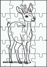 Roe Deer - Animals 5
