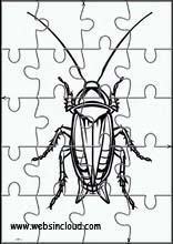 Kakkerlakken - Dieren 5