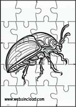 Skalbaggar - Djur 1