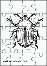 Escarabajos - Animales 2