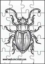Escarabajos - Animales 4