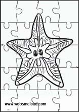 Starfish - Animals 1