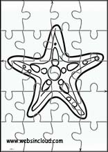 Starfish - Animals 2