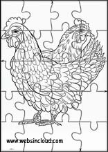 Poules - Animaux 4