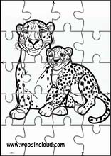 Gepard - Dyr 3