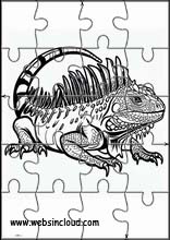 Iguanes - Animaux 1
