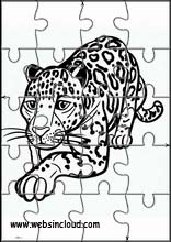 Jaguar - Animaux 6