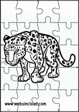 Leopardos - Animales 2