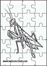 Praying Mantises - Animals 3