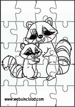 Raccoons - Animals 3