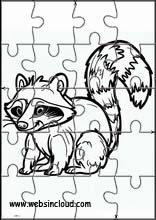 Raccoons - Animals 5