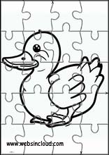 Ducks - Animals 3