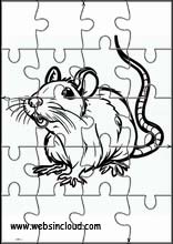 Råttor - Djur 1