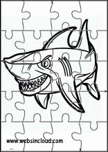 鯊魚 1