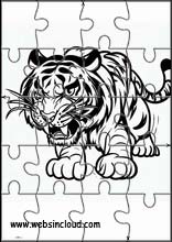 Tigrar - Djur 3