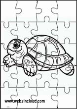 Tortues - Animaux 5