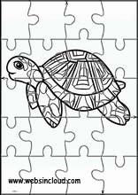 Turtles - Animals 6