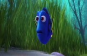 Stiksav Find Dory Find Dory