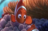 Stiksav Find Nemo Find Nemo