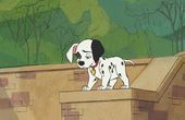 101匹忠犬 