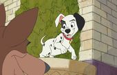 101匹忠犬 
