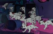 101 Dalmatians 