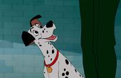 Les 101 Dalmatiens 