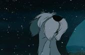 101匹忠犬 