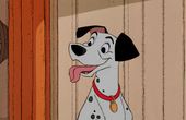 Les 101 Dalmatiens 